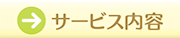 施術内容